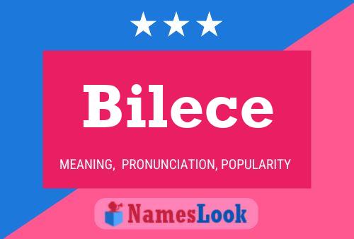 Bilece Name Poster