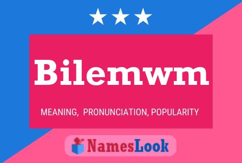 Bilemwm Name Poster