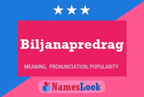 Biljanapredrag Name Poster