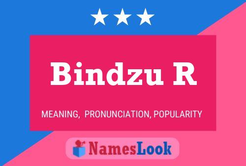 Bindzu R Name Poster