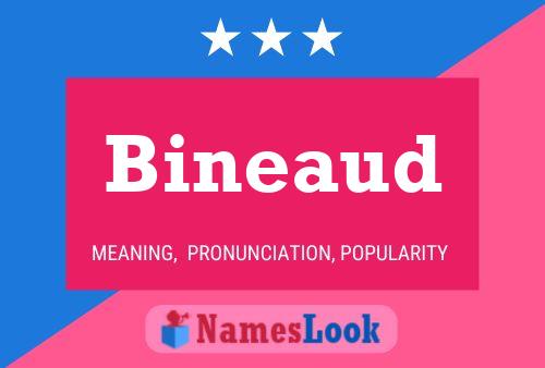 Bineaud Name Poster