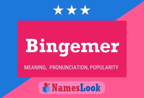 Bingemer Name Poster