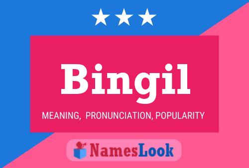 Bingil Name Poster