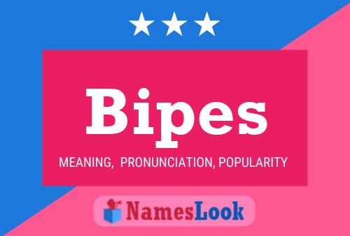 Bipes Name Poster