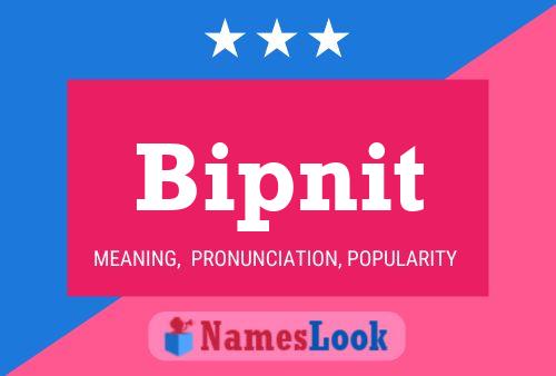 Bipnit Name Poster