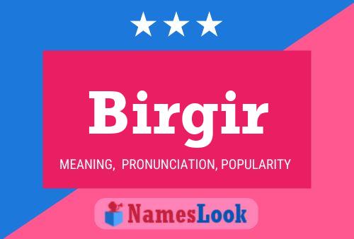 Birgir Name Poster