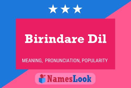 Birindare Dil Name Poster