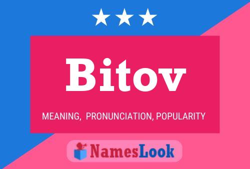 Bitov Name Poster