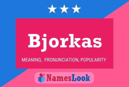 Bjorkas Name Poster