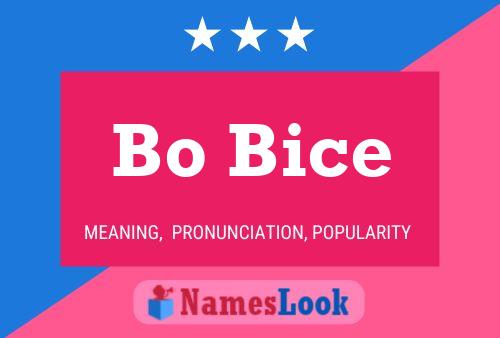 Bo Bice Name Poster