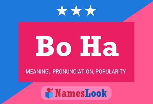 Bo Ha Name Poster