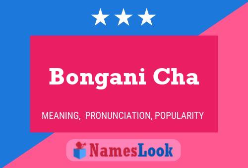 Bongani Cha Name Poster