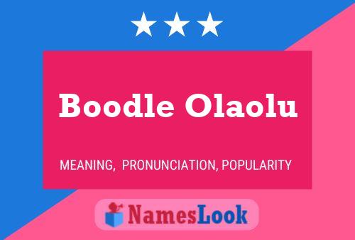 Boodle Olaolu Name Poster