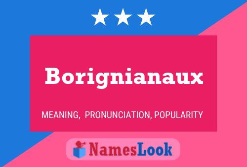 Borignianaux Name Poster