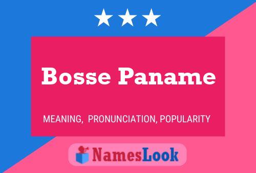 Bosse Paname Name Poster