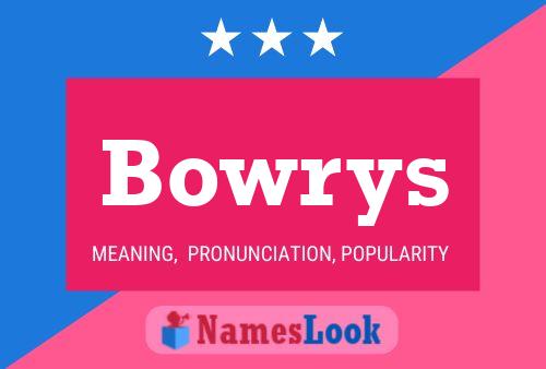 Bowrys Name Poster