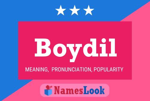 Boydil Name Poster