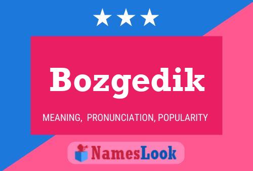 Bozgedik Name Poster