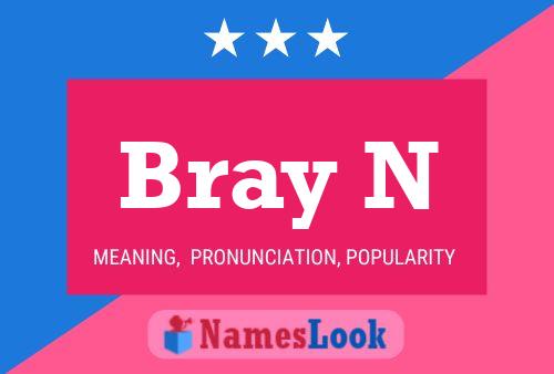 Bray N Name Poster