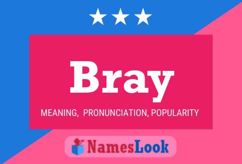 Bray Name Poster