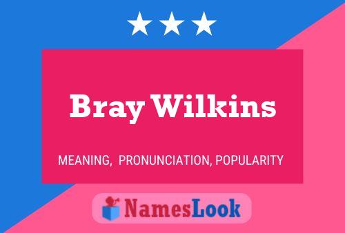 Bray Wilkins Name Poster