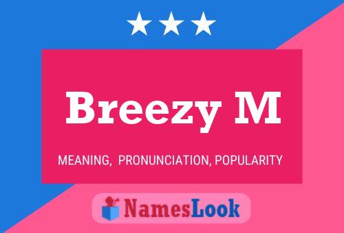 Breezy M Name Poster