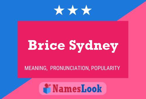 Brice Sydney Name Poster