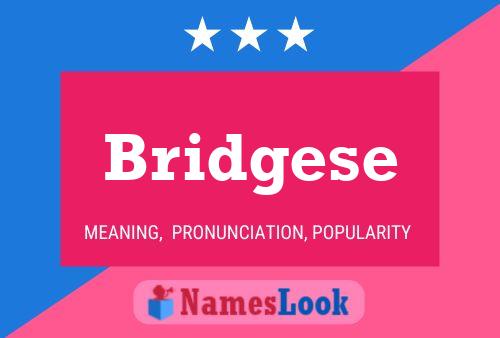 Bridgese Name Poster