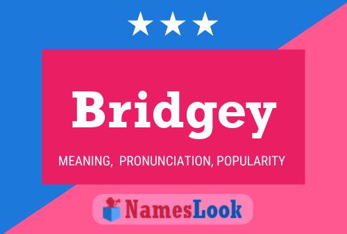 Bridgey Name Poster