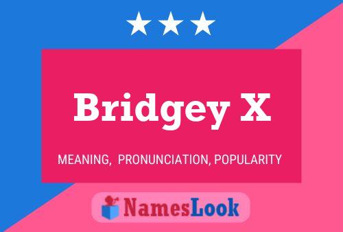 Bridgey X Name Poster