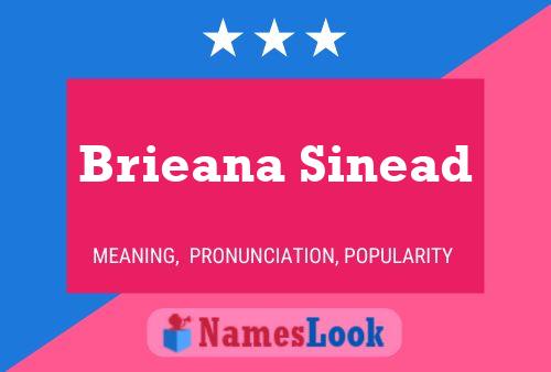 Brieana Sinead Name Poster