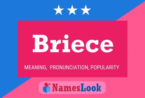 Briece Name Poster