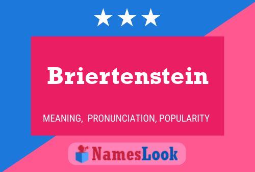 Briertenstein Name Poster