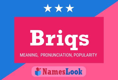 Briqs Name Poster