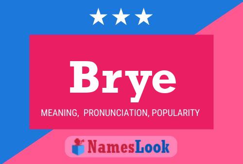 Brye Name Poster