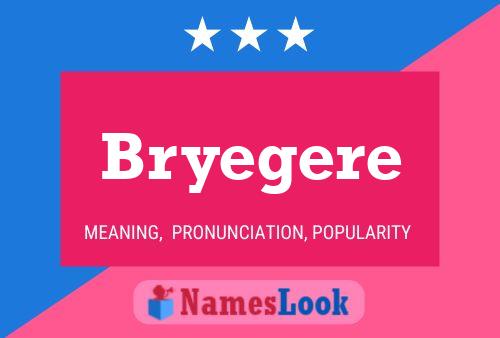 Bryegere Name Poster