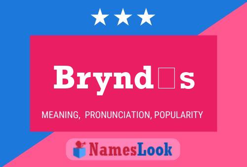 Bryndís Name Poster