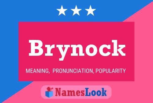 Brynock Name Poster