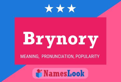 Brynory Name Poster