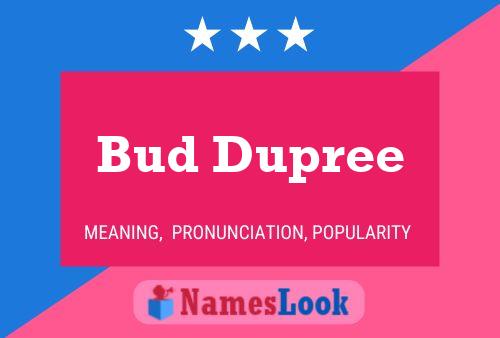 Bud Dupree Name Poster