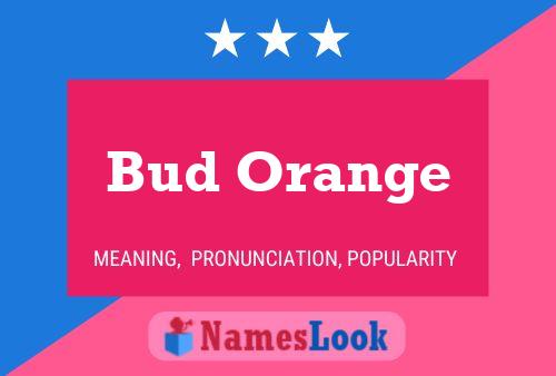 Bud Orange Name Poster