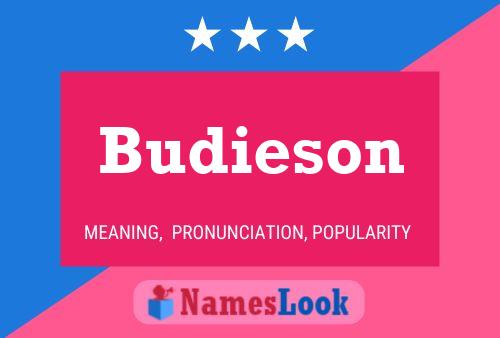 Budieson Name Poster