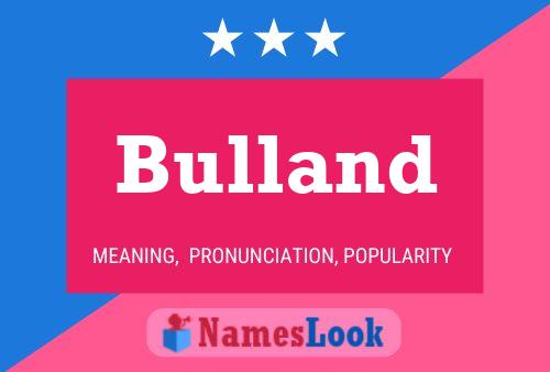 Bulland Name Poster