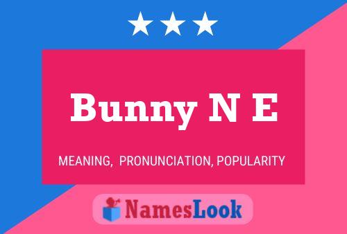 Bunny N E Name Poster