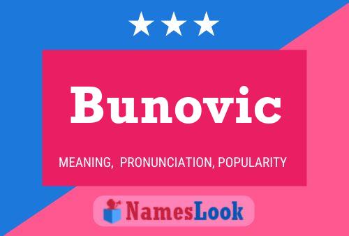 Bunovic Name Poster