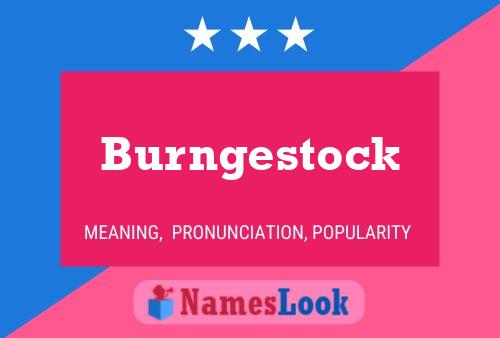 Burngestock Name Poster