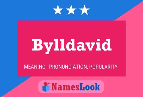 Bylldavid Name Poster