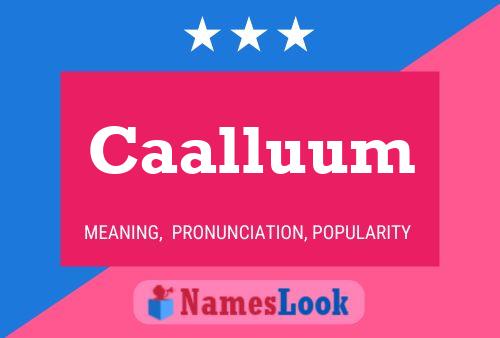 Caalluum Name Poster