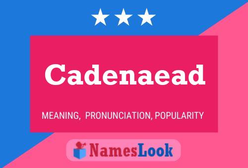 Cadenaead Name Poster