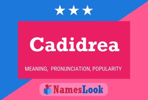 Cadidrea Name Poster